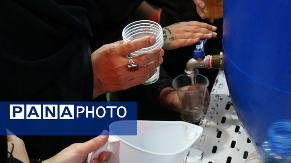 جلوه‌های خدمت‌رسانی به عاشقان اباعبدالله(ع)