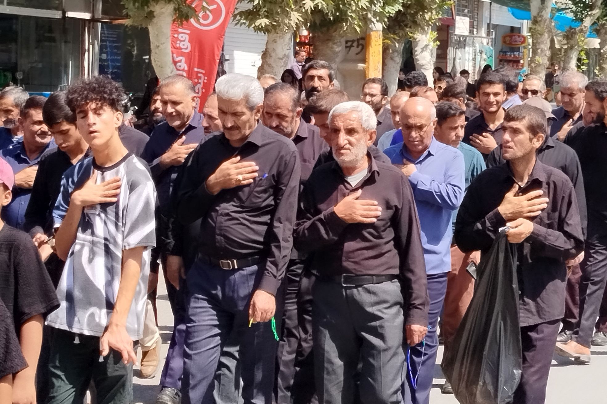 شکوه عزاداران رضوی در لردگان