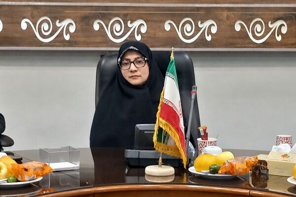 تعارضات خانوادگی، پرتکرارترین آسیب اجتماعی در مدارس کشور است