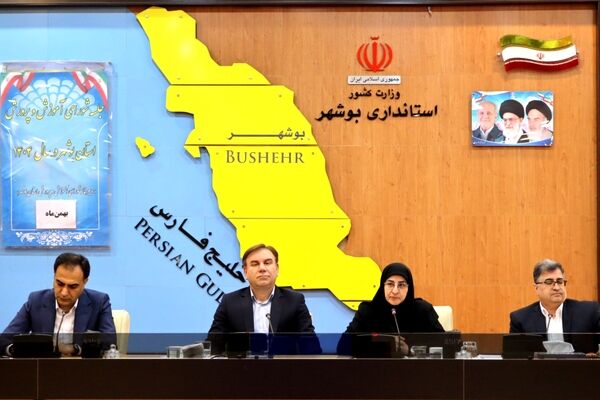 بوشهر پیشگام اجرای طرح‌های ملی حامی و ارتقای بهزیستی روانی مادران