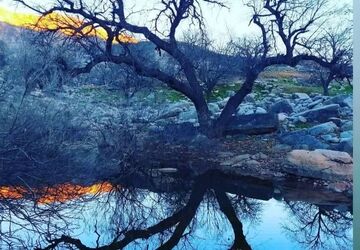 اردوی آموزشی و تفریحی دانش‌آموزان دبیرستان حضرت زهرا(س)