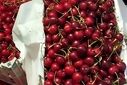 ششمین دوره بازارچه گیلاس فشند