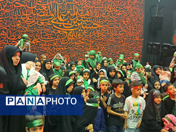 همایش شیرخوارگان حسینی(ع) در قم -3