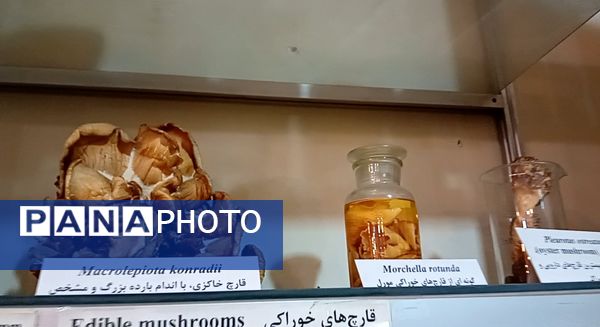 بازدید  خبرنگاران مسئله محور از موسسه گیاه پزشکی تهران