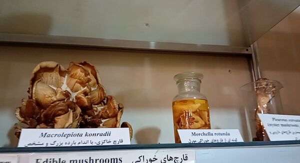 بازدید  خبرنگاران مسئله محور از موسسه گیاه پزشکی تهران
