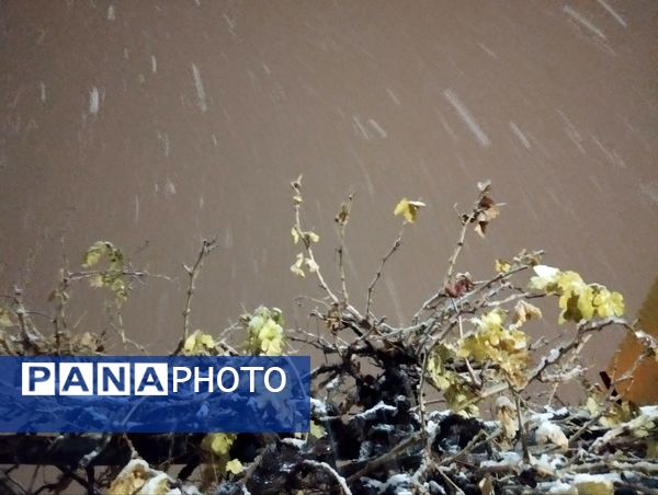 گذری بر دقایق اول بارش برف پاییزی در نیشابور 