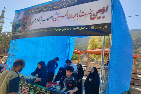 پذیرایی موکب‌ها از جاماندگان اربعین حسینی در دیشموک