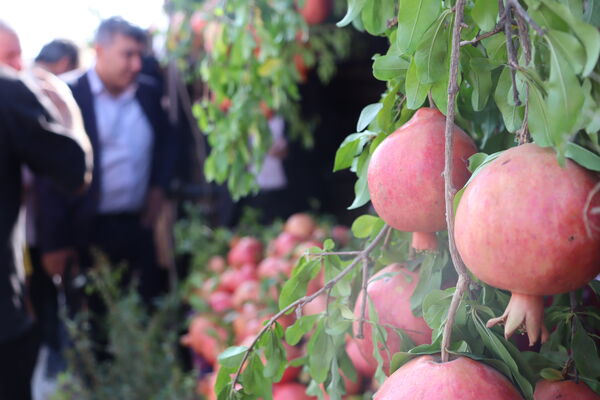 کوهدشت میزبان جشن سرخ زاگرس 