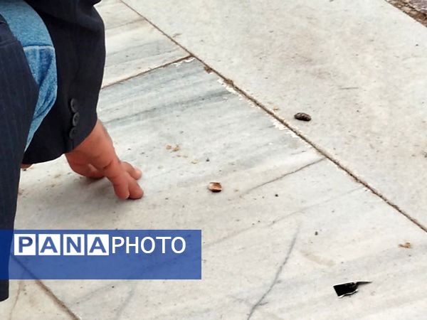 برگزاری مراسم شب های چراغ برات در آرامگاه شهید مدرس