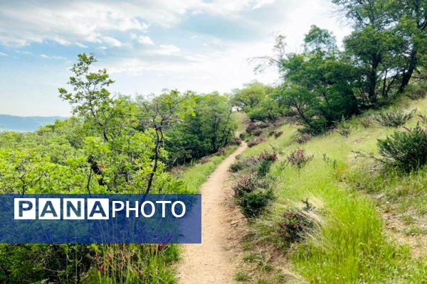 جلوه‌های بهاری طبیعت یاسوج