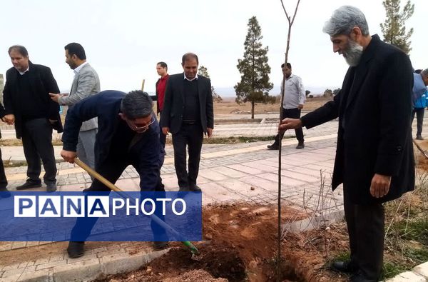 روز درختکاری در تربت جام