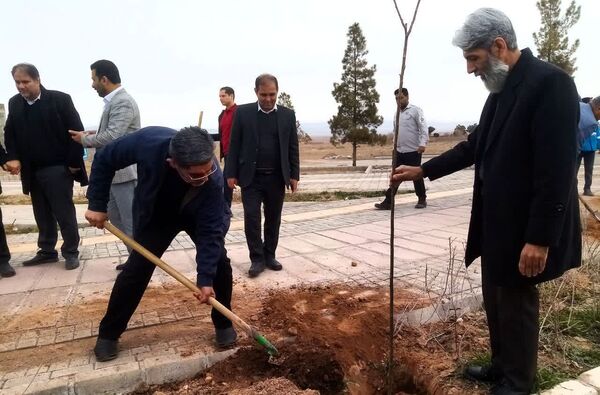 روز درختکاری در تربت جام