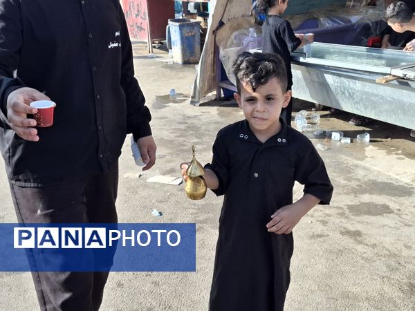 پیاده‌روی اربعین حسینی در کشور عراق 