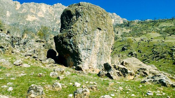 طبیعت بهاری، یک یادآوری دوست داشتنی