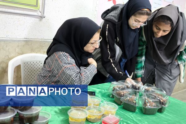برگزاری نمایشگاه مشاغل خانگی در دبیرستان شاهد ام ابیها، شهرستان آباده