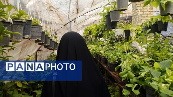 اردوی راهیان پیشرفت در شهرستان خلیل‌آباد 