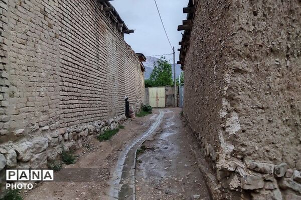 حال و هوای شهر بار بعد از بارش زیبای باران 