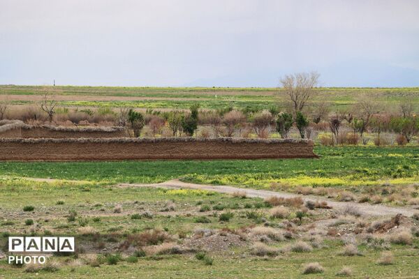 آیین باستانی سیزده بدر رشتخوار در روز طبیعت از قاب خبرنگاران پانا