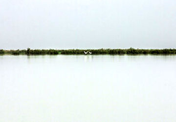 شهرهای مجاور تالاب‌ها باید به عنوان شهر تالابی ثبت شوند