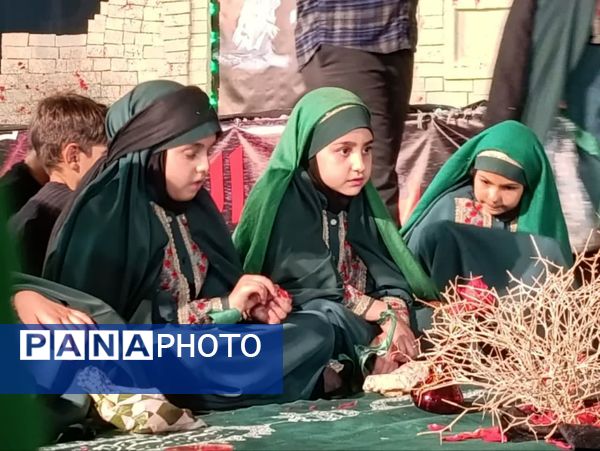 مجمع جهانی خادمان حضرت رقیه(س) در کربلای ایران