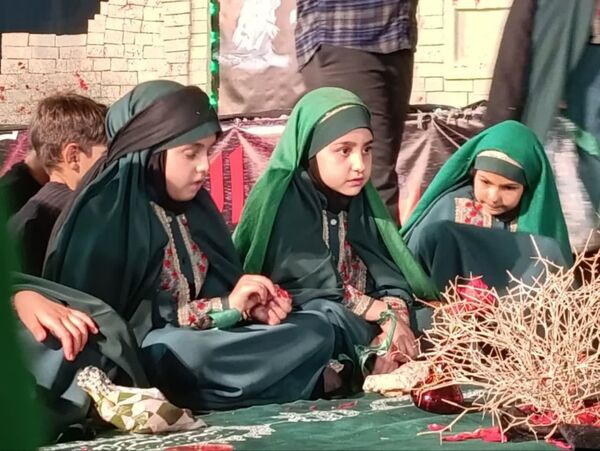 مجمع جهانی خادمان حضرت رقیه(س) در کربلای ایران