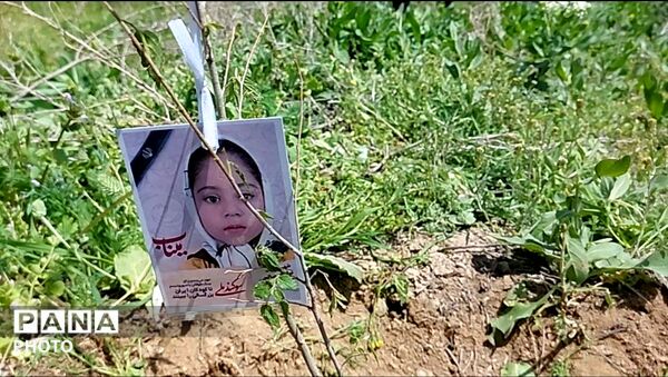 غرس ۲۰۰ نهال در پویش کاشت نهال امید شهرستان شیروان 
