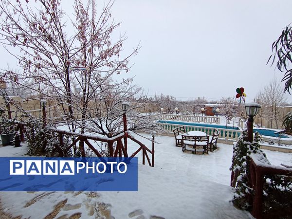 صبحی که خورشید جایش را به برف داد