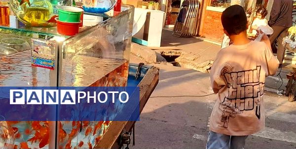  بازار منطقه ۱۸ با حال و هوای بهار نوروزی 