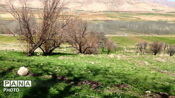 بالاقلی، جایی که روحتان تازه می‌شود
