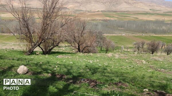 بالاقلی، جایی که روحتان تازه می‌شود