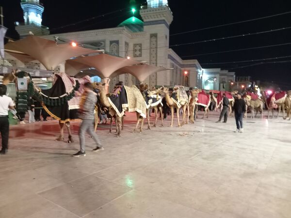 عزاداری هیات بنت الحسین (ع) در حرم بانوی کرامت 