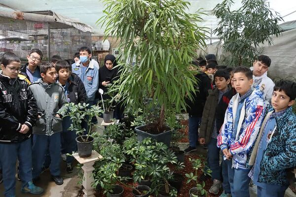 بازدید دانش‌آموزان دبستان شهید سلیمی جهرمی از گلخانه شهرداری کهریزک 
