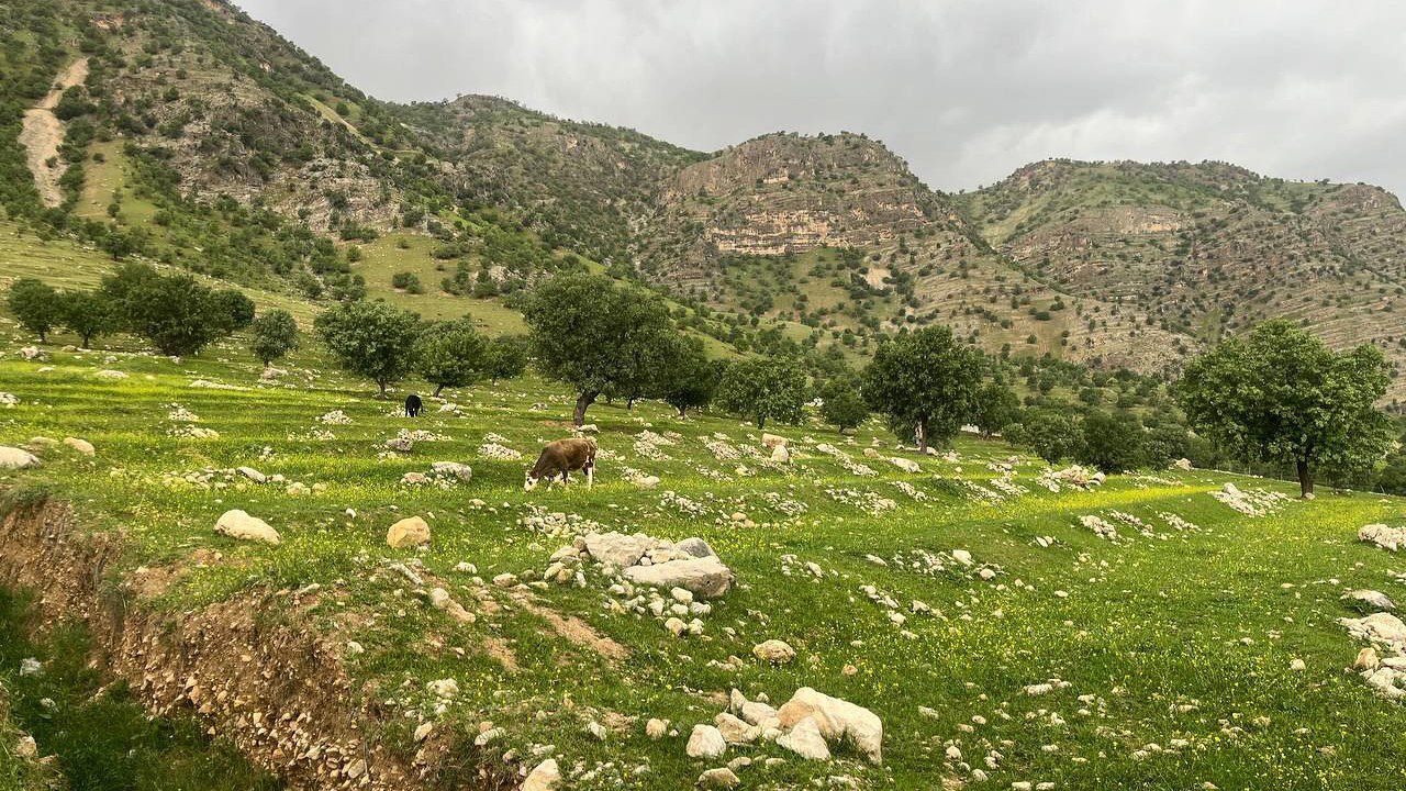 دهکده زراس، بهشت گمشده خوزستان