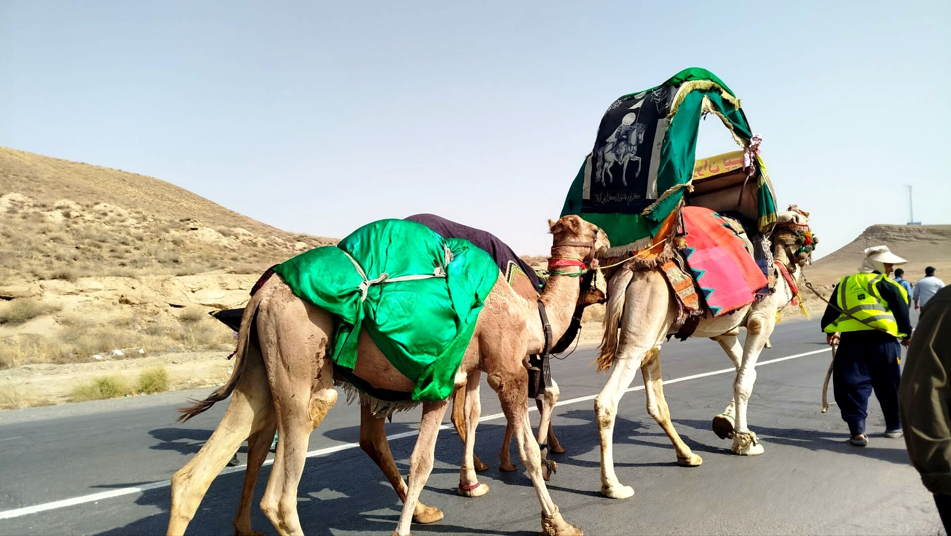 پیاده روی زائران امام رضا(ع) از ملک آباد تا مشهد 