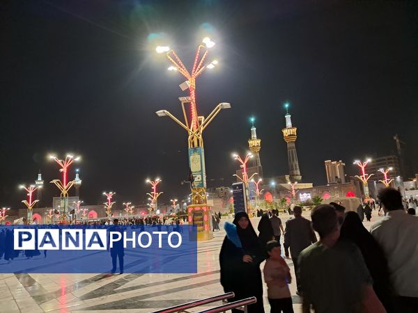 کبوتر حرم مشهد مقدس