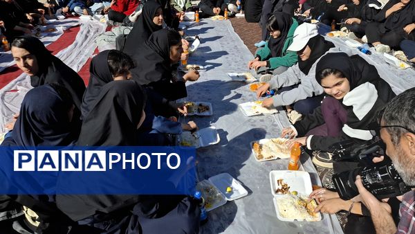 طرح اردوی تمشک در شهرستان دهدشت