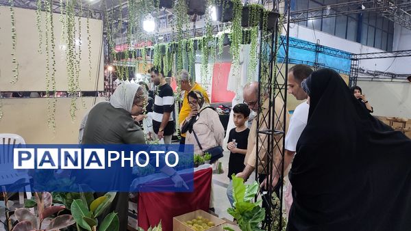 نمایشگاه فروش پاییزه در قائمشهر