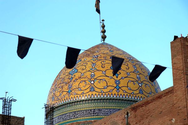 دل‌های جامانده، گرد حرم سلطان علی(ع) در مشهد اردهال به شور افتادند