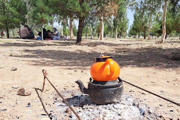 دورهمی روز طبیعت در پارک جنگلی پردیسان قم
