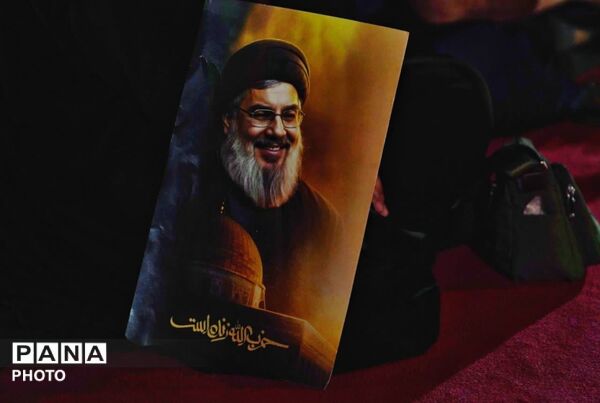 پژواک همبستگی در حریم دانش