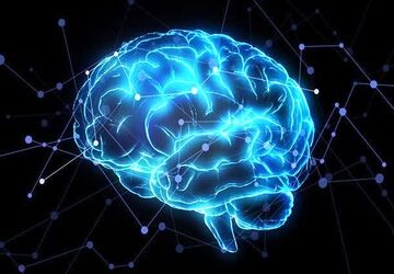 اشتباه؛ سکوی پرتاب یادگیری در نگاه مغز انسان
