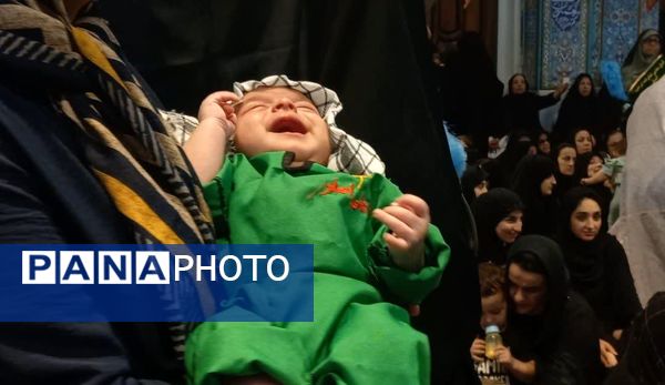 همایش بزرگ شیرخوارگان حسینی در آمل