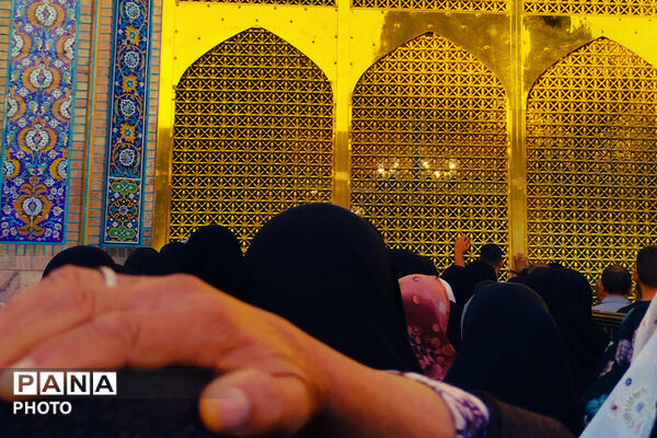 آرامش ابدی در سایه خورشید؛ حرم رضوی در قاب سوگ و زیارت - 2