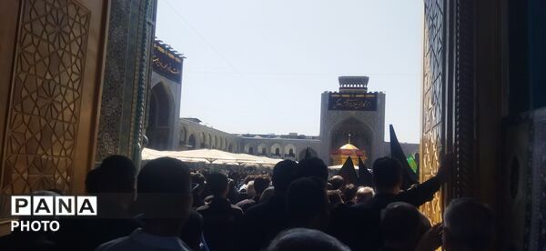 مراسم سینه زنی و عزاداری امام رضا علیه السلام توسط هیئات کاشمر 