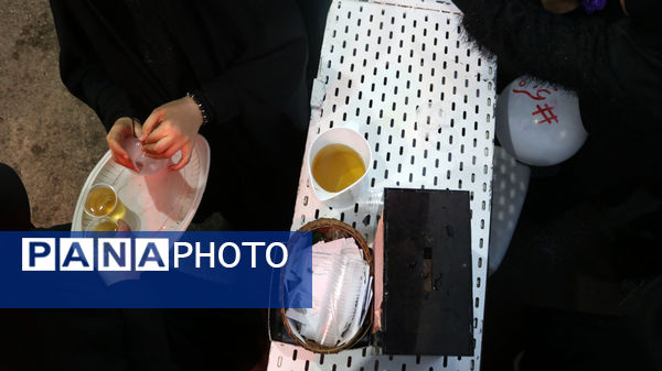 جلوه‌های خدمت‌رسانی به عاشقان اباعبدالله(ع)