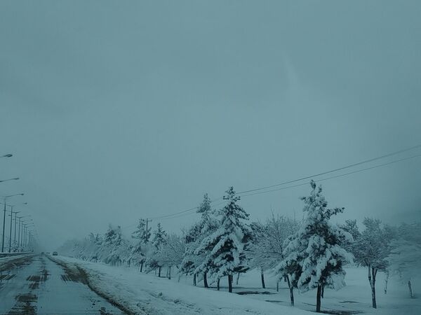 جلوه های زیبا از بارش برف در شهرستان نیشابور 