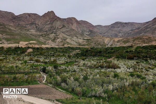 آلبوم تصویری از طبیعت زیبای شهر بار در اردیبهشت‌ماه  ۱۴۰۵ـ۲