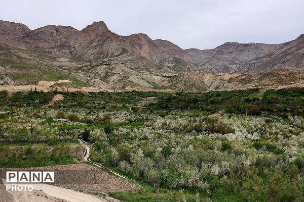 آلبوم تصویری از طبیعت زیبای شهر بار در اردیبهشت‌ماه  ۱۴۰۵ـ۲