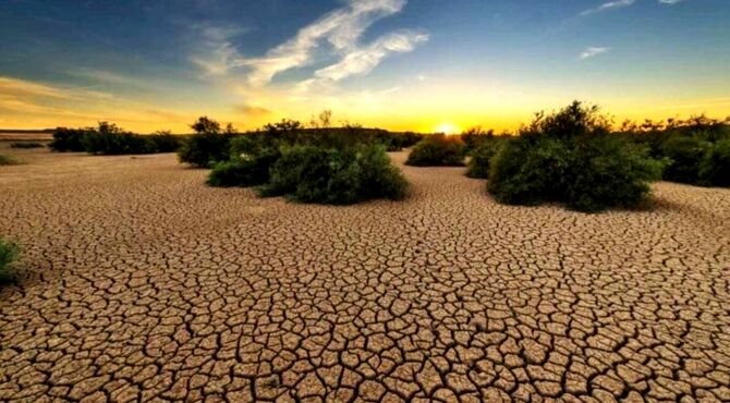 بیابان‌زدایی، راهی برای نجات منابع طبیعی