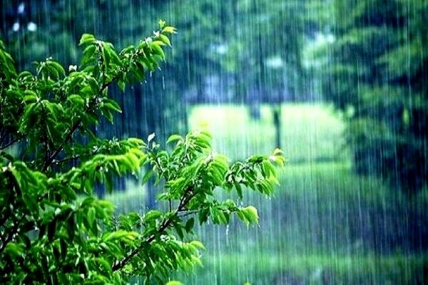 بارش باران در اکثر نقاط کشور